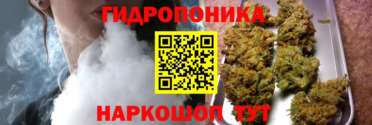 Канабис планчик Ковров